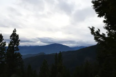 DSC_0059 (Large).JPG